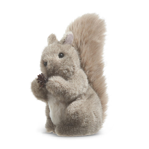 Large Gray Squirrel