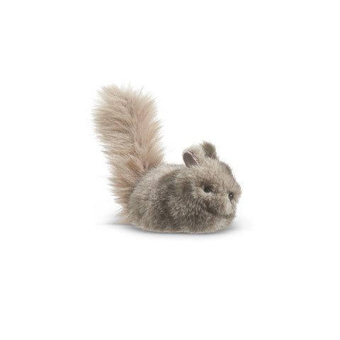 Small Gray Squirrel