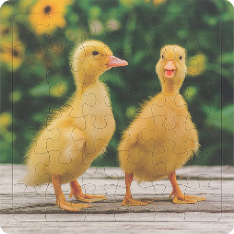 Fluffy Ducklings 36-Piece Frame Tray Puzzle CH8621