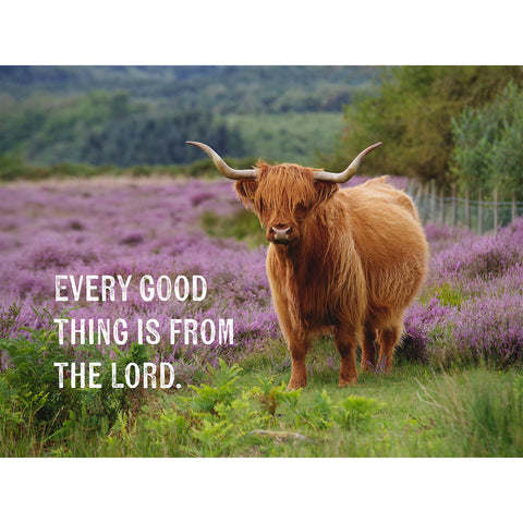 Lavender Field Highlander 1000-Piece Puzzle CH8680
