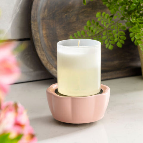 Petal 2-in-1 Classic Warmer CWDPL