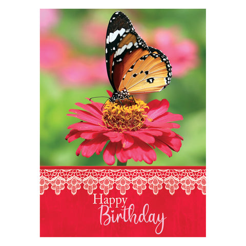 Butterflies Birthday Boxed Cards FT22582 front of card 3