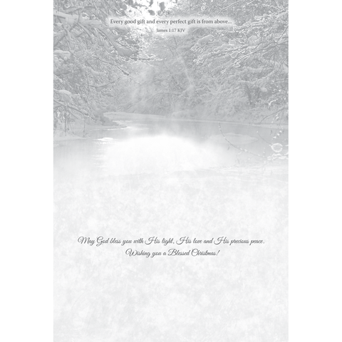 Family Treasures Christmas Waterscapes greeting card with message