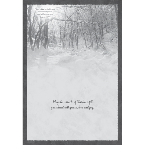 Family Treasures Christmas Waterscapes greeting card with message