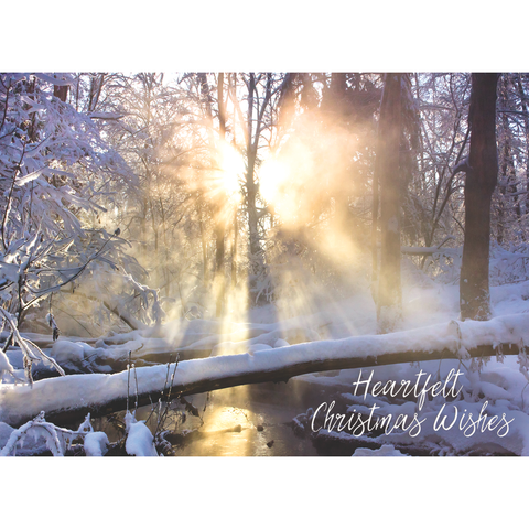 Family Treasures Christmas Waterscapes greeting card