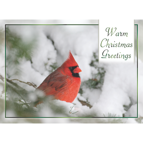 Winter Cheer Christmas Boxed Cards FT22713
