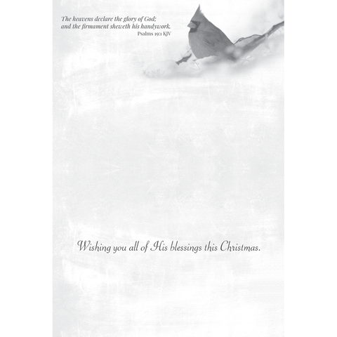 Winter Cheer Christmas Boxed Cards FT22713