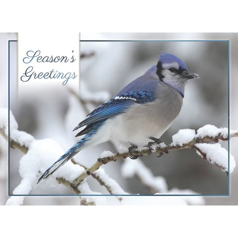 Winter Cheer Christmas Boxed Cards FT22713