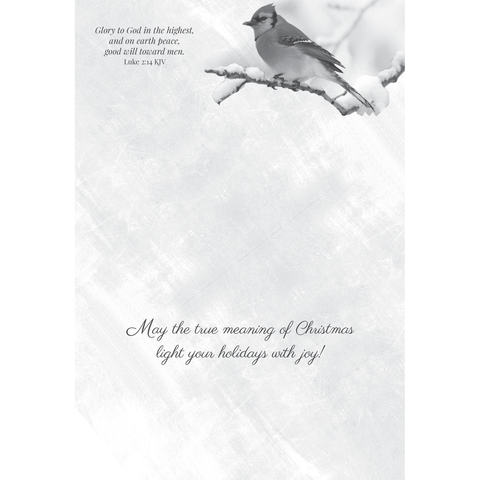 Winter Cheer Christmas Boxed Cards FT22713