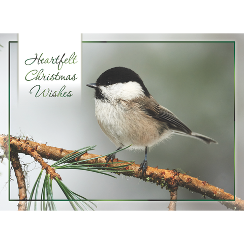 Winter Cheer Christmas Boxed Cards FT22713
