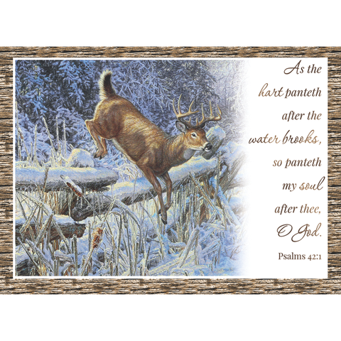 Winter Deer Christmas Boxed Cards FT22718