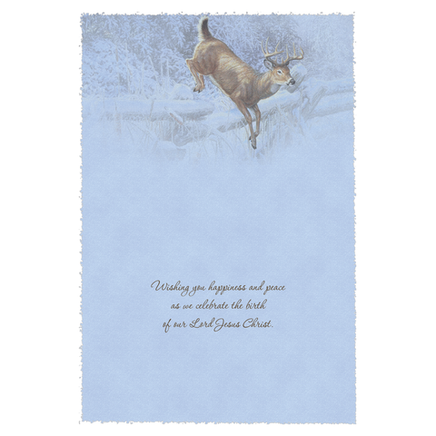Winter Deer Christmas Boxed Cards FT22718