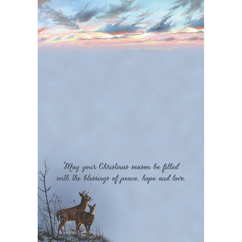 Winter Deer Christmas Boxed Cards FT22718