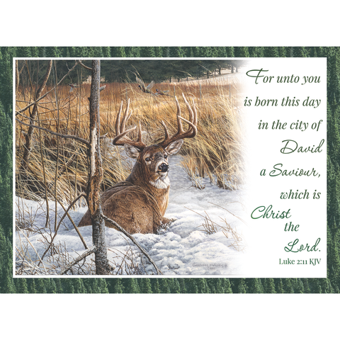 Winter Deer Christmas Boxed Cards FT22718