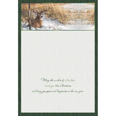 Winter Deer Christmas Boxed Cards FT22718