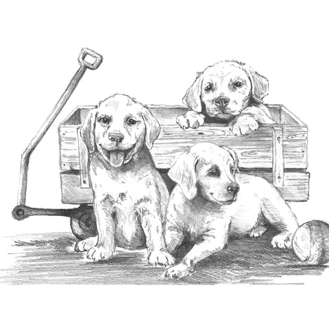 Puppies drawing