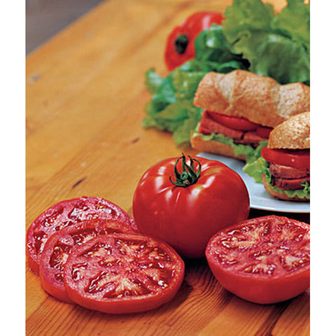 Sliced tomatoes