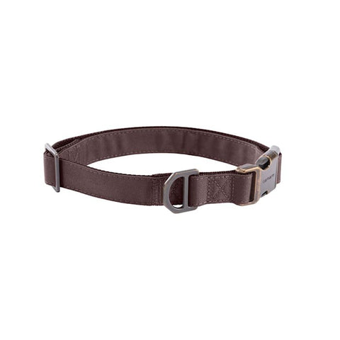 Carhartt canvas Field Dog Collar in Deep Wine