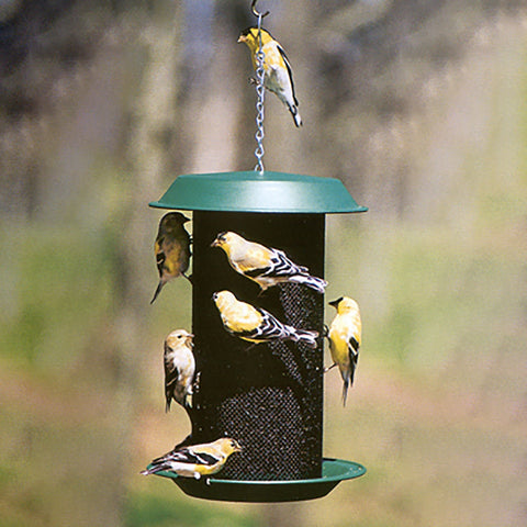 Magnum Thistle Bird Feeder