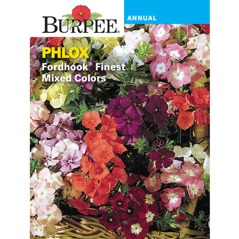 Phlox flower seed pack