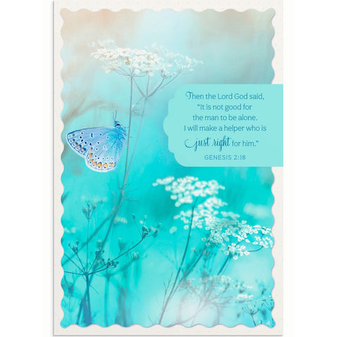 Boxed Cards Anniversary Butterflies U0063