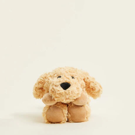 Golden Dog Cozy Wrap CPW-DOG-3 face