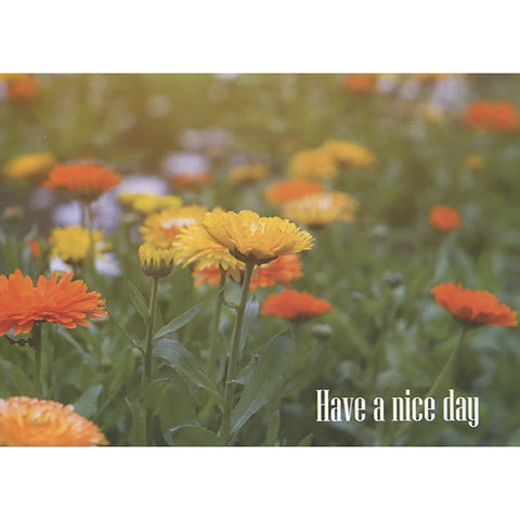 Card 3 Outside
